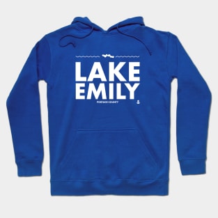 Portage County, Wisconsin - Lake Emily Hoodie